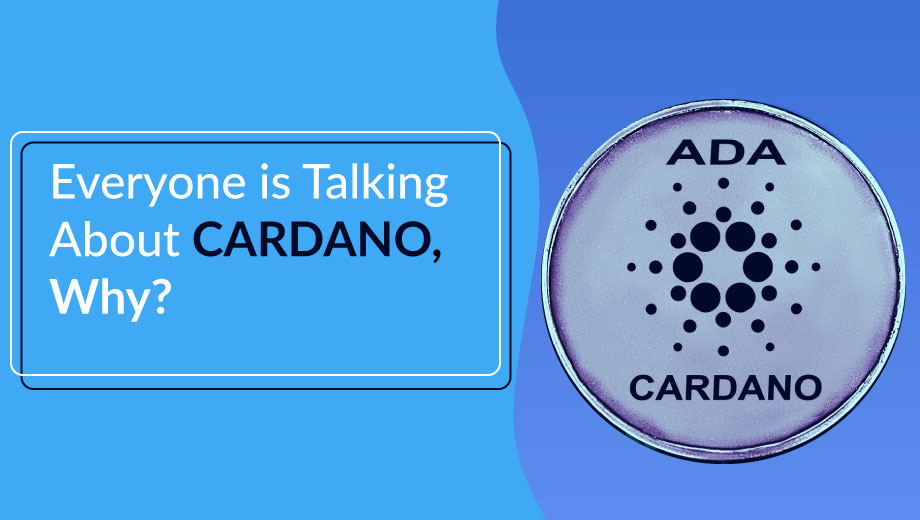 Everyone is Talking About Cardano, Why