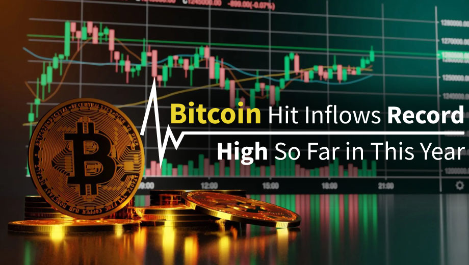 Bitcoin Hit Inflows Record High So Far in This Year